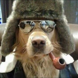 Meet your Posher, Candice